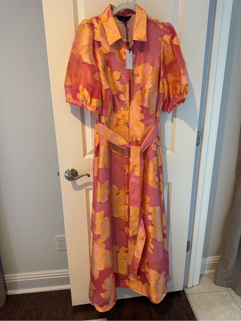 NWT Abbey Glass Charlotte Gown Sorbet Peony Organza | XL - Picture 4 of 11